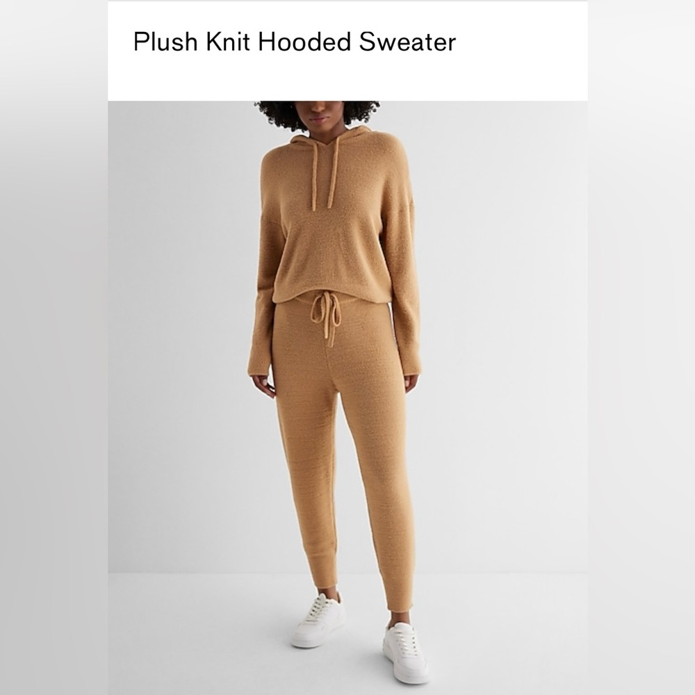 Express Plush Knit Fuzzy Sweater and Hoodie and pants